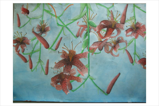 『庭の鬼百合の花々』